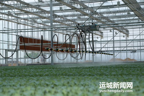 夏縣積極籌備第七屆中國山西特色農(nóng)產(chǎn)品交易博覽會(huì)，夯實(shí)初級(jí)農(nóng)產(chǎn)品營銷基礎(chǔ)