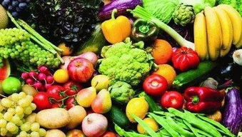 登封多舉措推進城市發展與民生建設