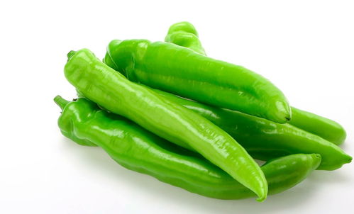 美菜網 以服務筑基，以品質求存，深耕初級農產品市場